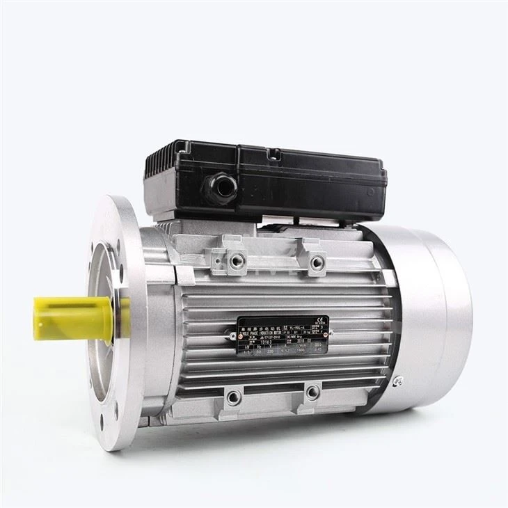 IEC Motor