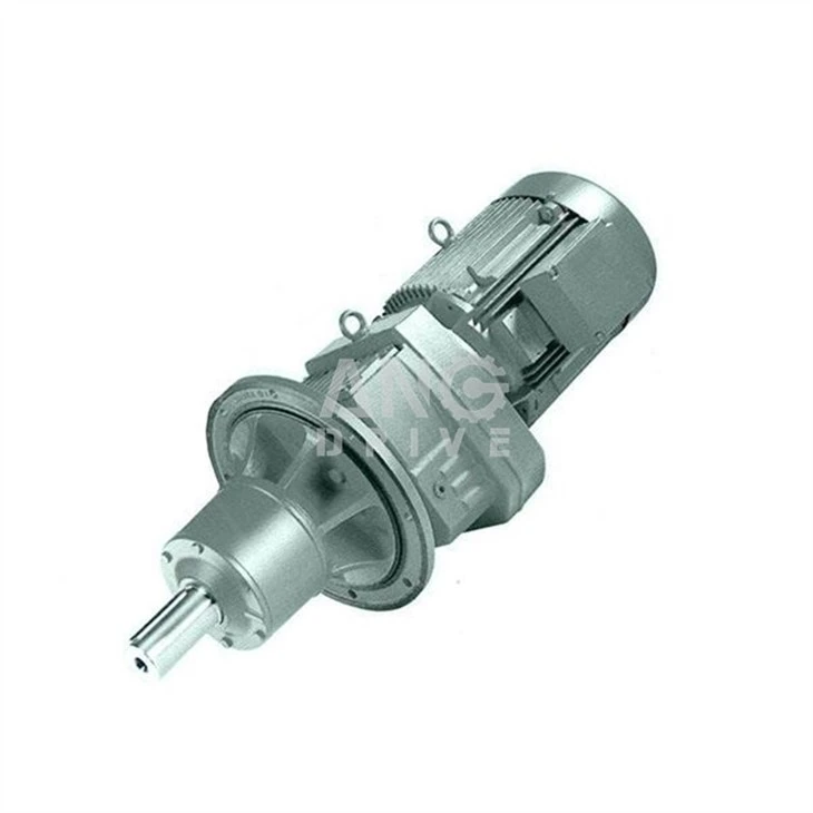 Gearmotor with Extended Output Bearing Housing