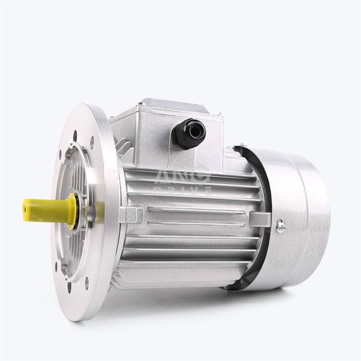 IEC Metric Motor