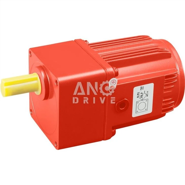 boiler gear motor