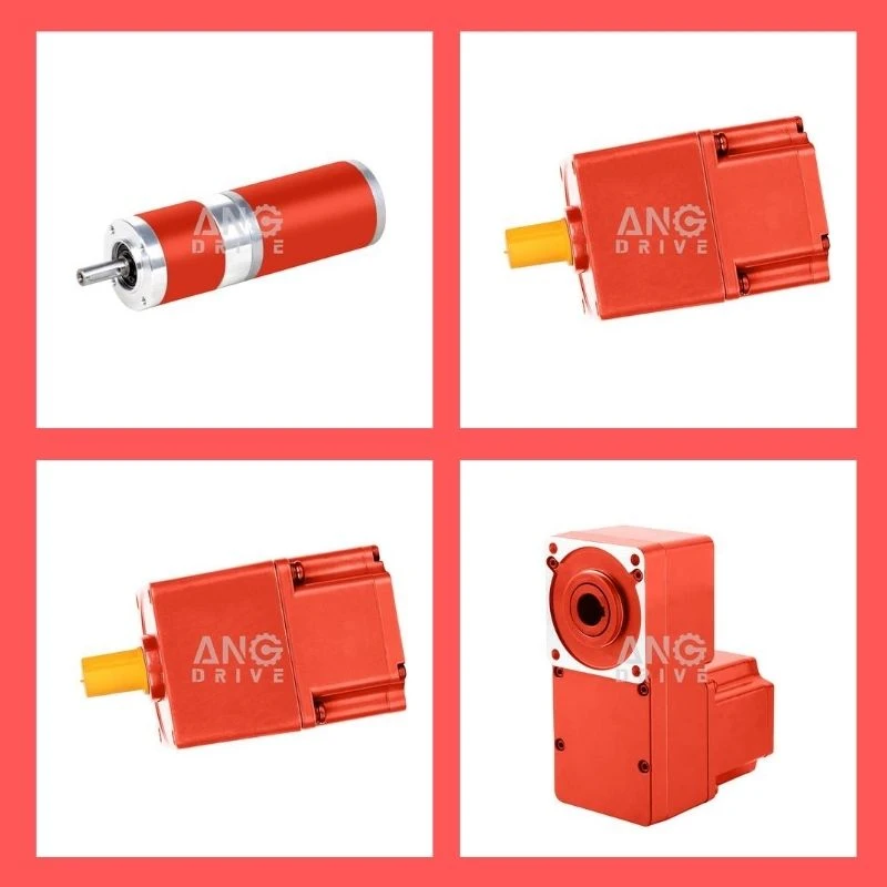 product-800-800 product-800-800